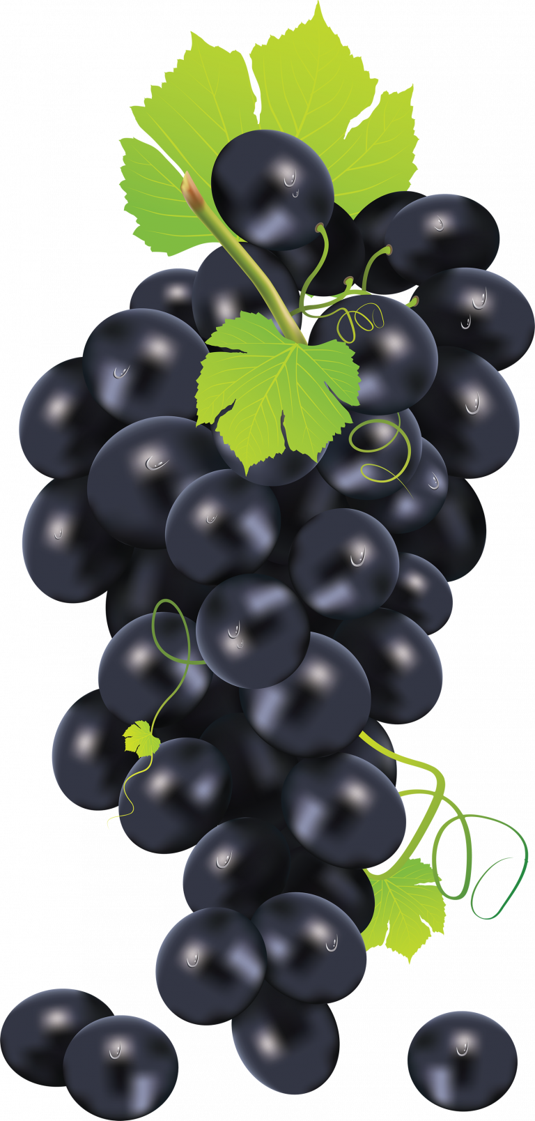 Black Grapes Clusterwith Leaves PNG Image