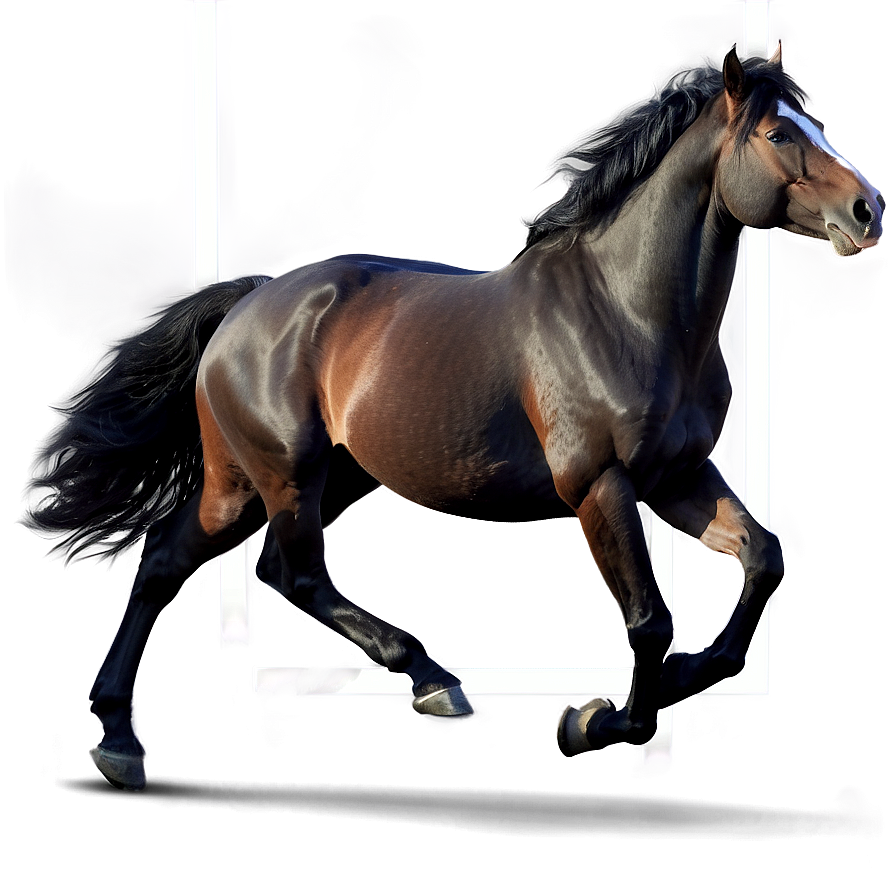 Black Horse On White Background Png Uwf87 PNG Image