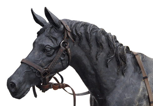 Black Horse Portraitwith Bridle PNG Image