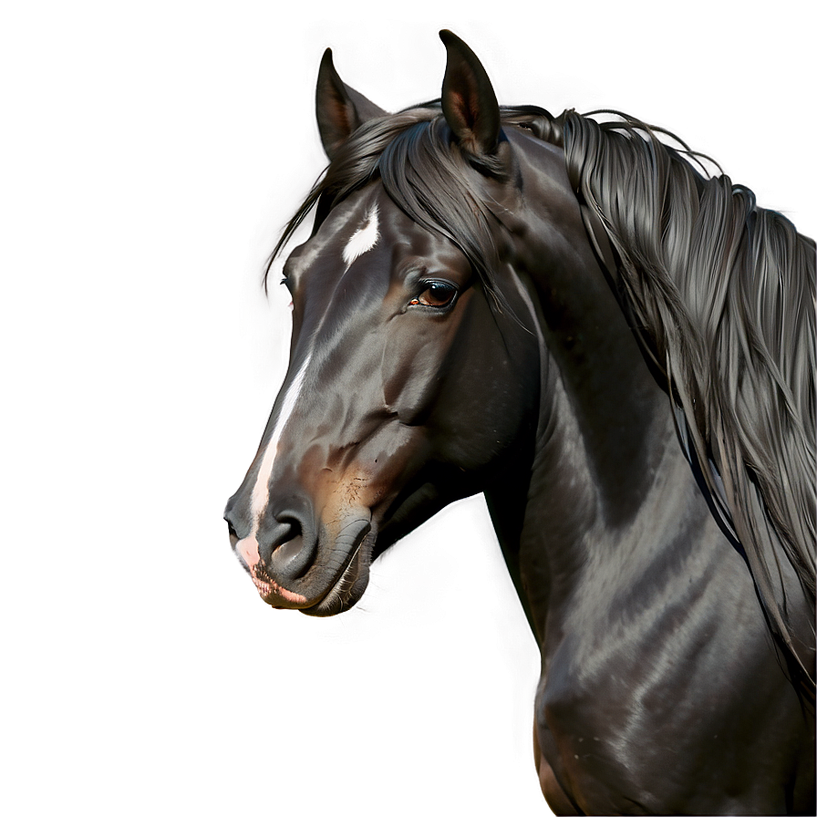 Black Horse With Flowing Mane Png 96 PNG Image