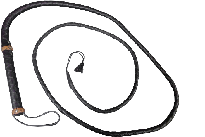 Black Leather Braided Whip PNG Image