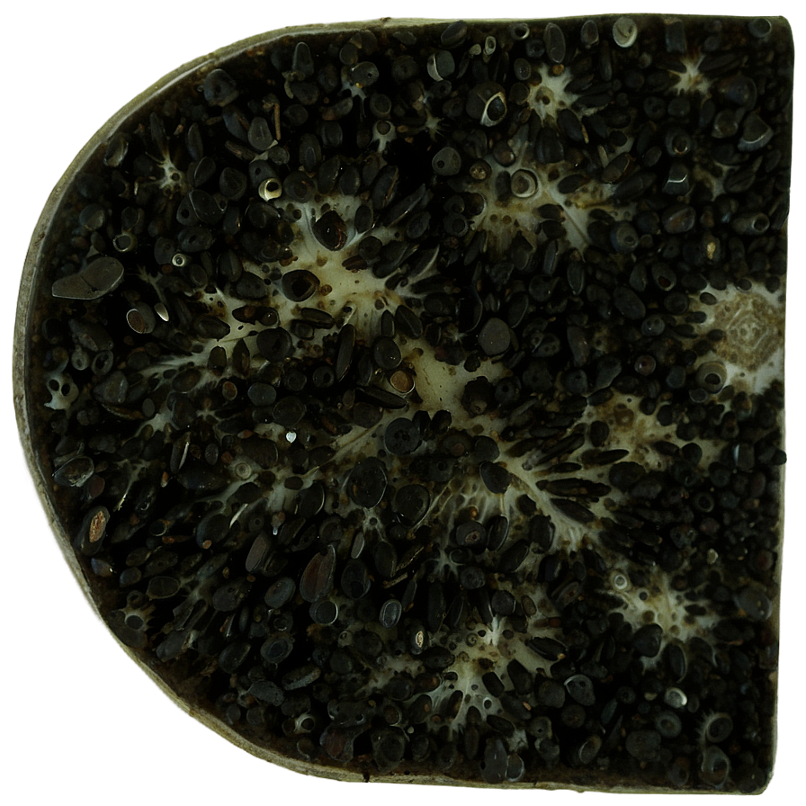 Black Mold Png 20 PNG Image