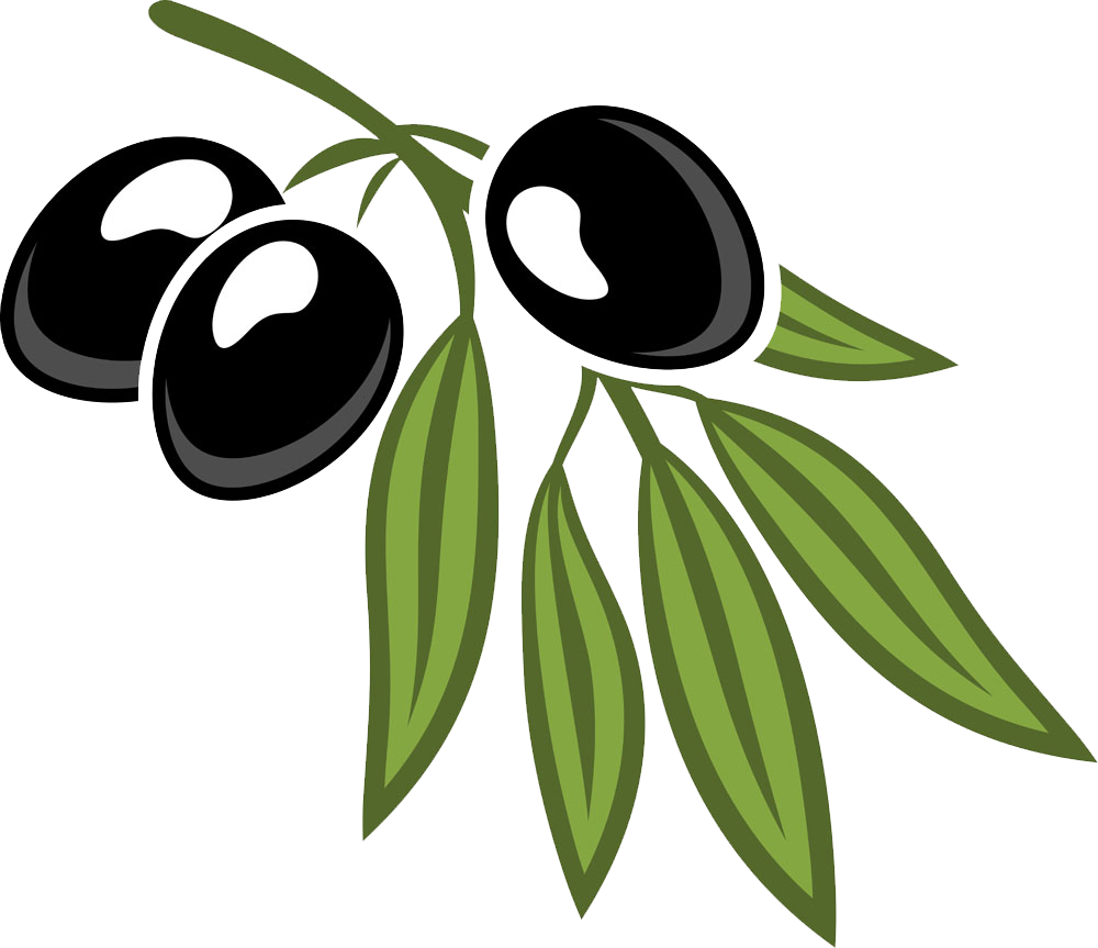 Black Olives Branch Illustration PNG Image