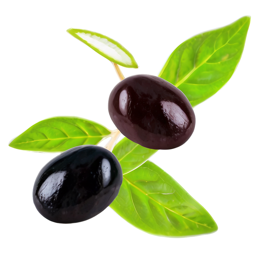 Black Olives With Herbs Png Fxn87 PNG Image