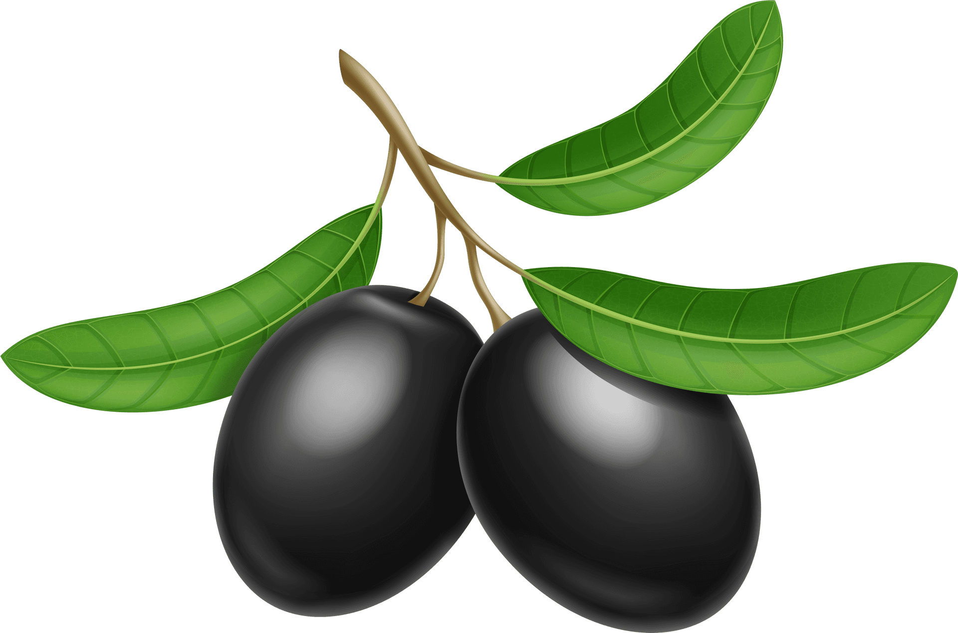 Black Oliveswith Leaves Illustration PNG Image