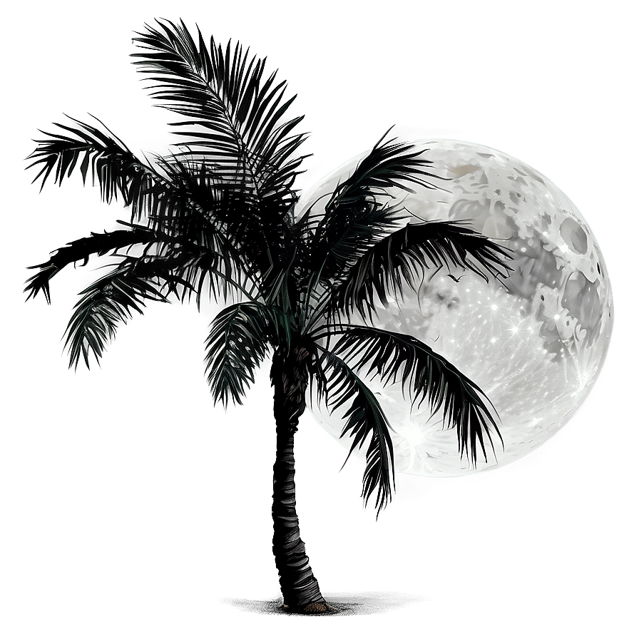 Black Palm Tree With Moon Png 06262024 PNG Image