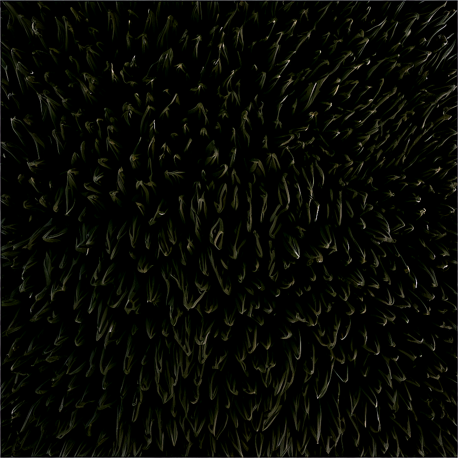 Black Plush Carpet Texture Png 51 PNG Image