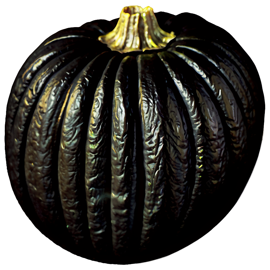 Black Pumpkin With Spider Png 80 PNG Image