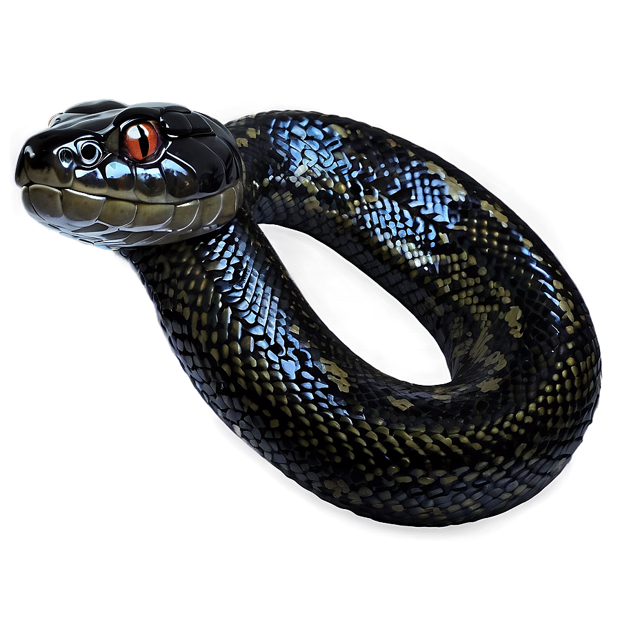 Black Python Illustration Png 64 PNG Image