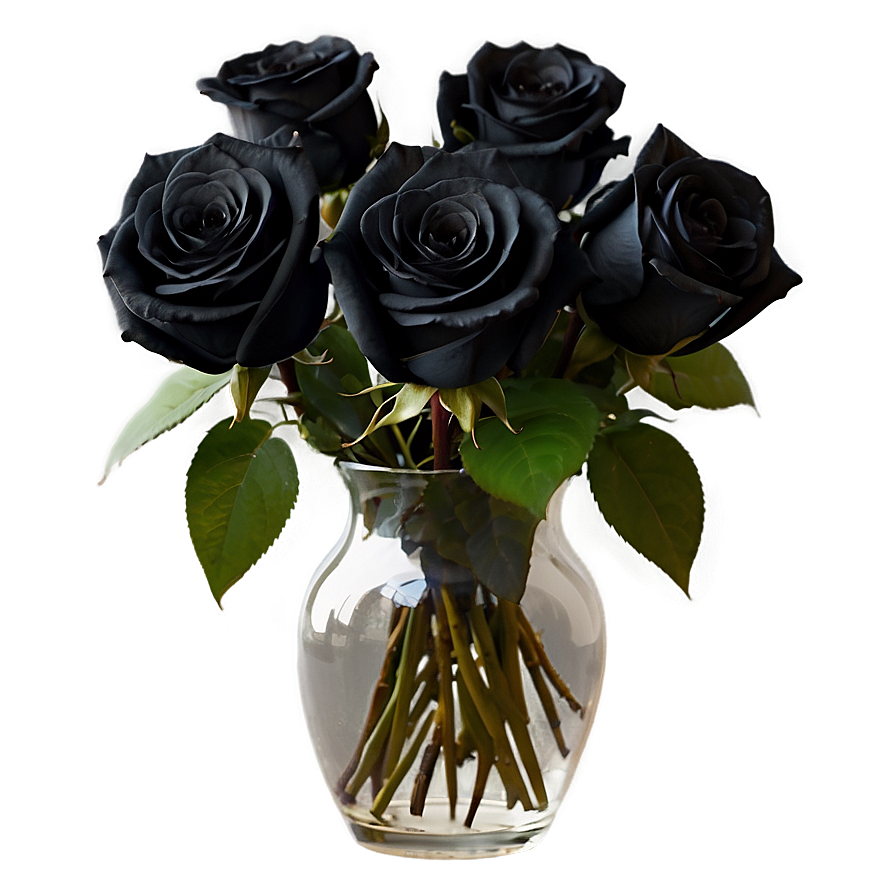 Black Roses In Vase Png 06212024 PNG Image