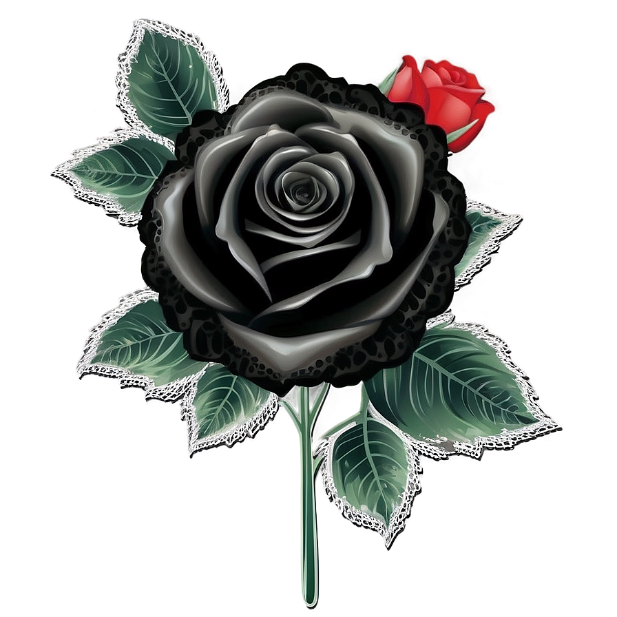 Black Roses With Lace Png 06212024 PNG Image