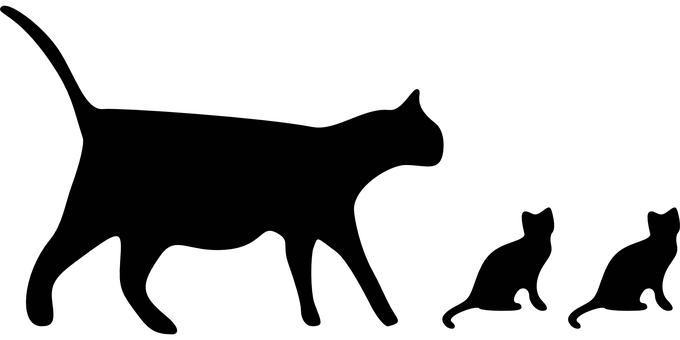 Black Screen Blank Image PNG Image