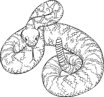 Black Screen Blank Image.jpg PNG Image