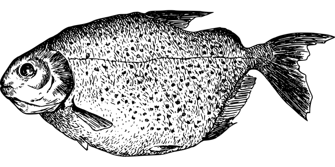 Black Screen Empty Background.jpg PNG Image