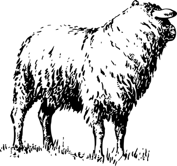 Black Screen Empty Template PNG Image