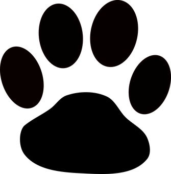 Black Screen Multiple Circles PNG Image