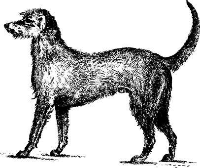 Black Screen Placeholder.jpg PNG Image