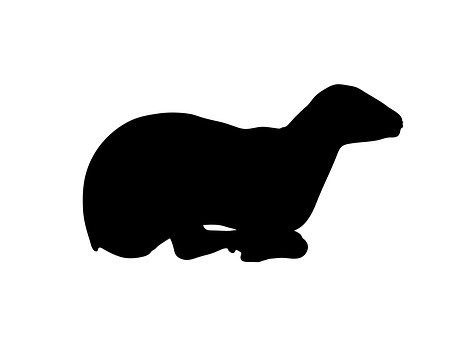 Black Sheep Silhouette PNG Image