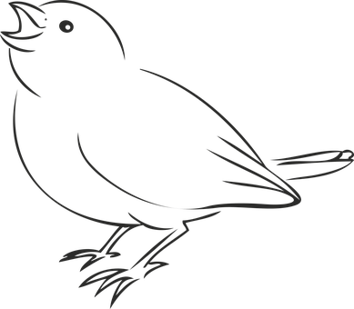 Black Silhouette Bird Illustration PNG Image