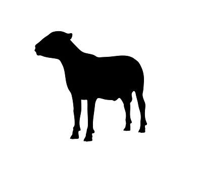 Black Silhouetteof Standing Sheep PNG Image