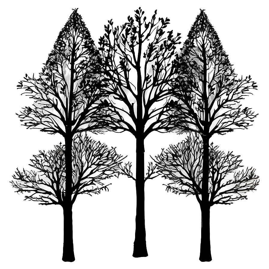 Black Trees Drawing Png 4 PNG Image