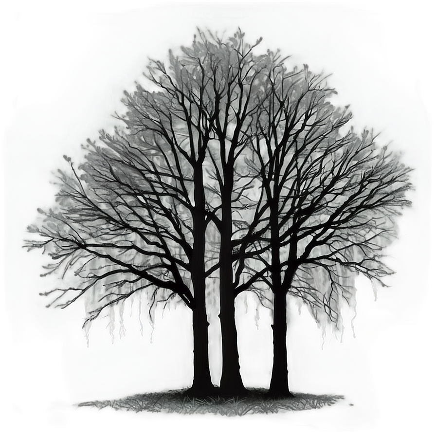 Black Trees In Fog Png 06292024 PNG Image