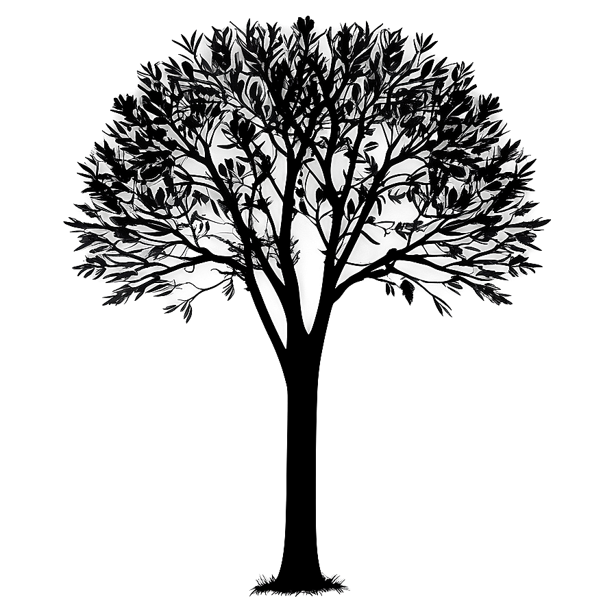 Black Trees Shadow Png 06292024 PNG Image