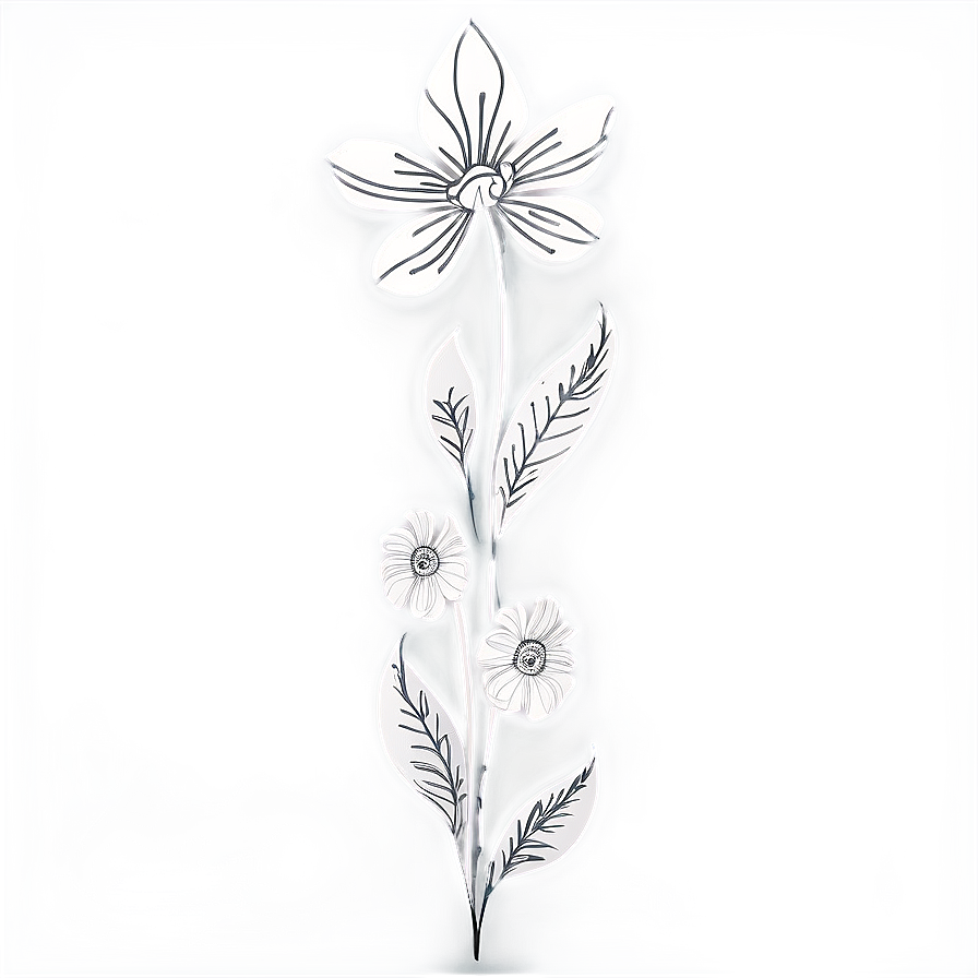 Black White Floral Illustrations Png 06282024 PNG Image