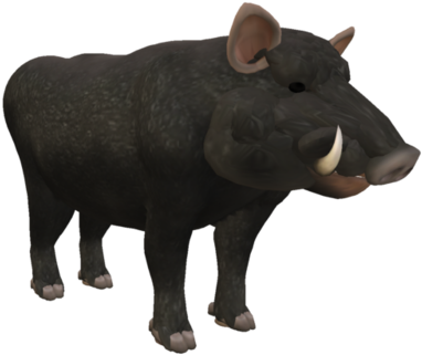 Black Wild Boar3 D Model PNG Image