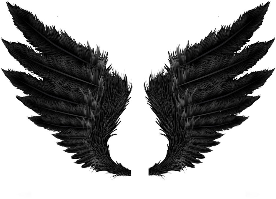 Black Wing Feathers Tattoo Design PNG Image