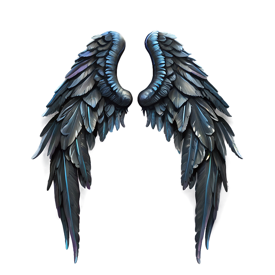 Black Wings Of Solitude Png 90 PNG Image