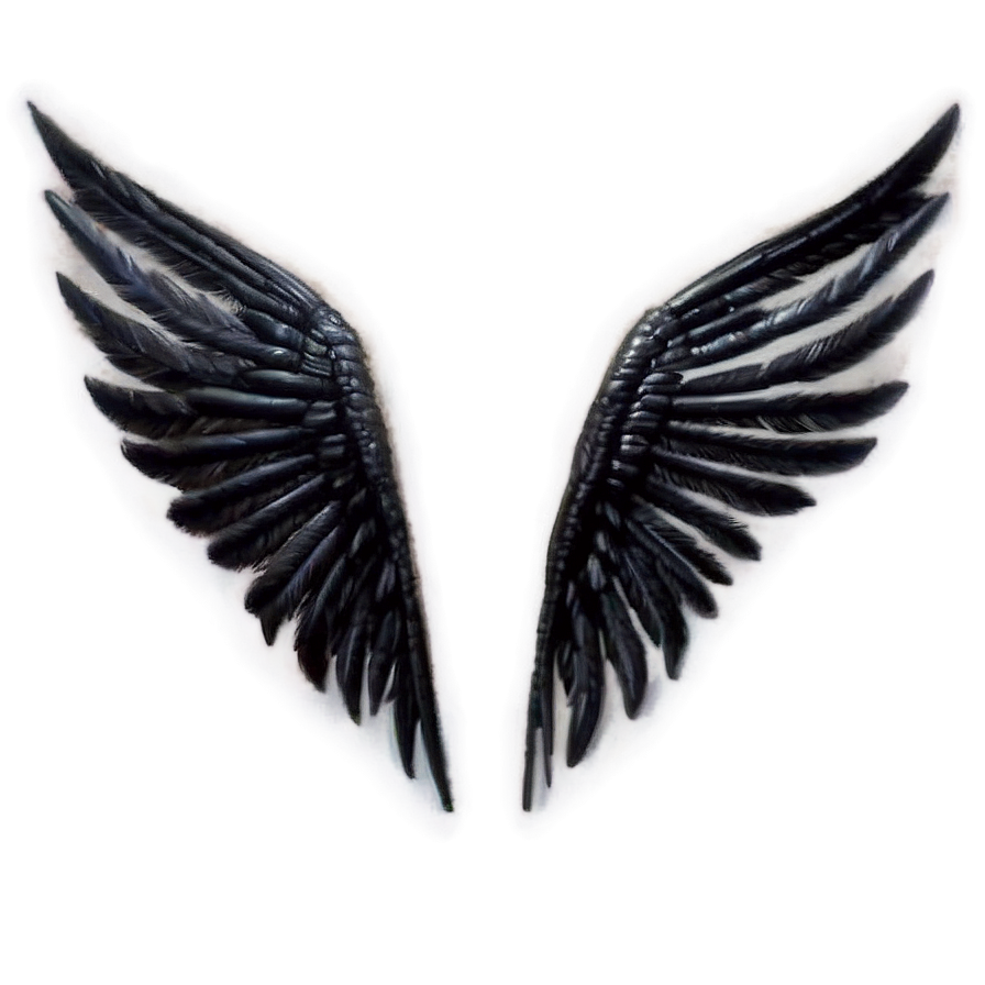 Black Wings Of The Sacred Png Ixg PNG Image