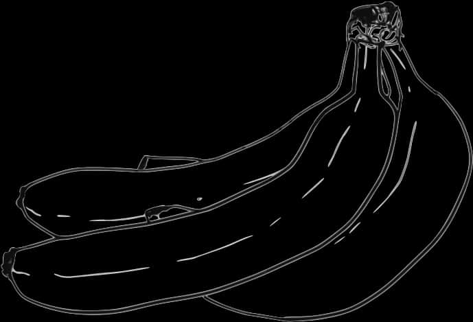 Blackand White Banana Sketch PNG Image