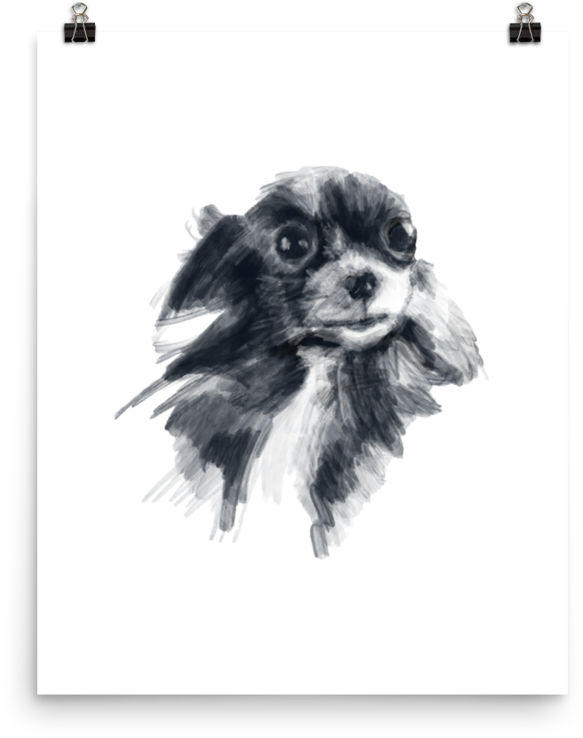 Blackand White Chihuahua Sketch PNG Image