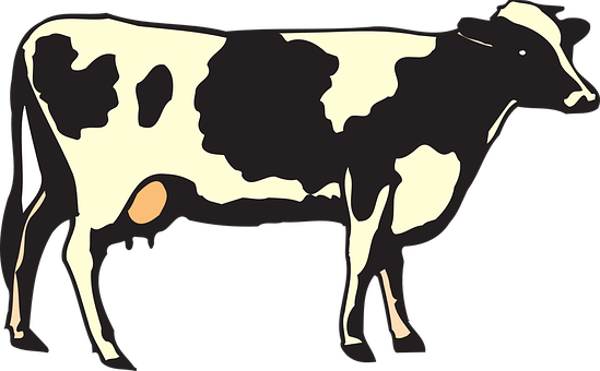 Blackand White Cow Illustration PNG Image