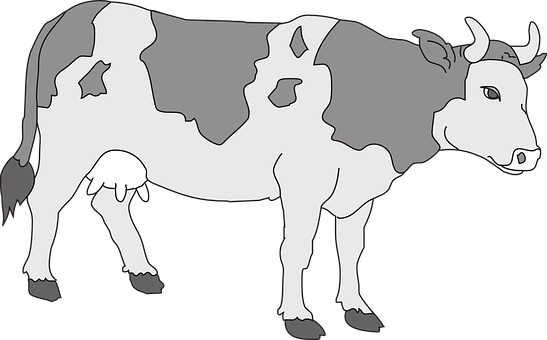 Blackand White Cow Illustration PNG Image