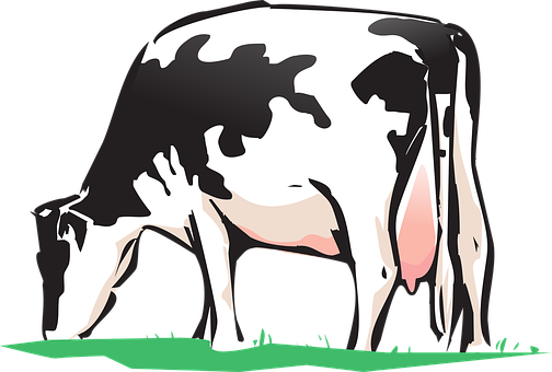 Blackand White Cow Illustration PNG Image