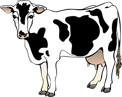 Blackand White Cow Illustration PNG Image