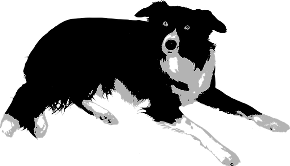 Blackand White Dog Silhouette PNG Image