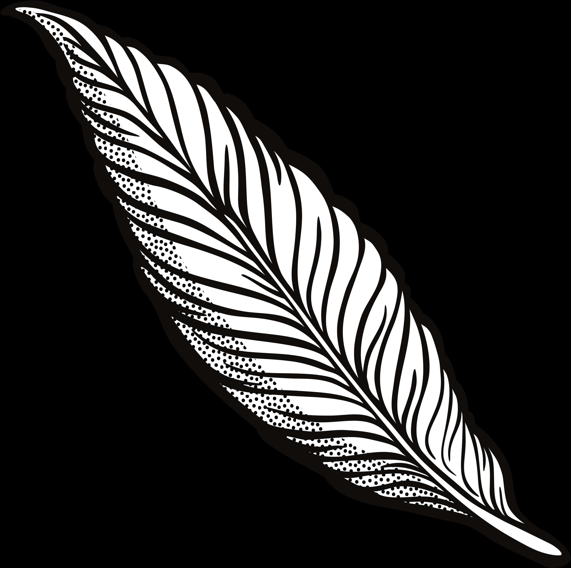 Blackand White Feather Illustration PNG Image