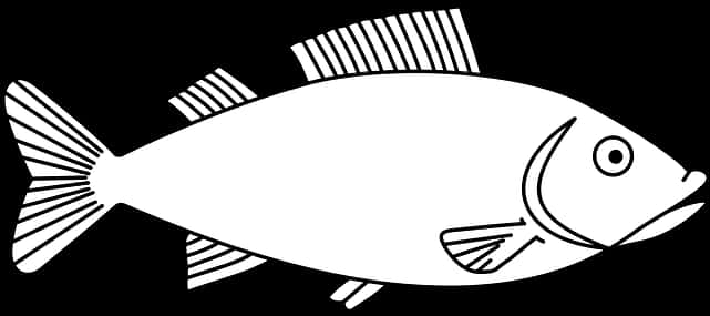 Blackand White Fish Illustration PNG Image