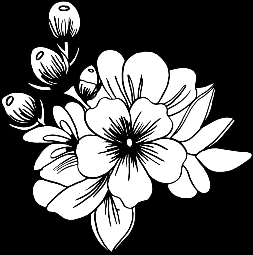 Blackand White Floral Illustration PNG Image