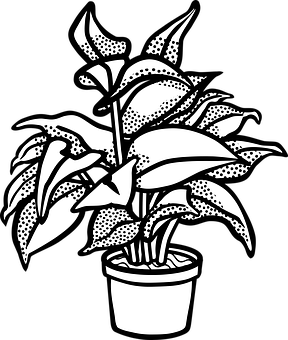 Blackand White Potted Plant Illustration PNG Image