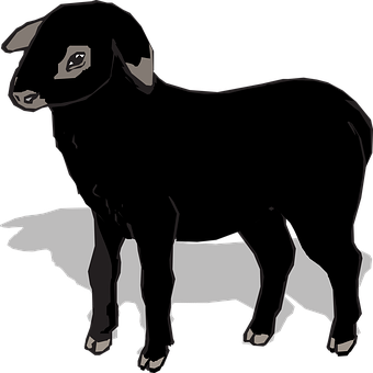 Blackand White Sheep Illustration PNG Image