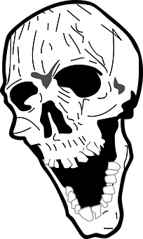 Blackand White Skull Illustration PNG Image