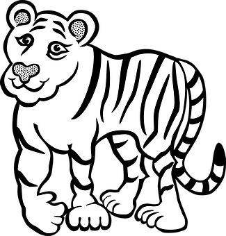 Blackand White Tiger Illustration PNG Image