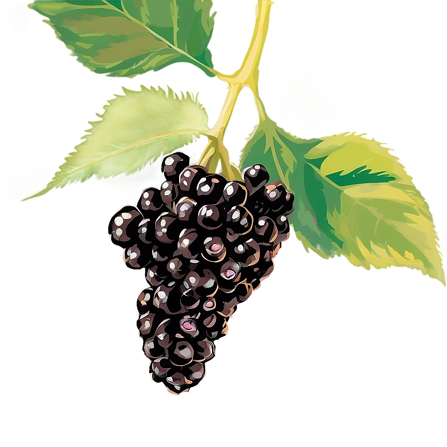 Blackberry Farm Png 05232024 PNG Image