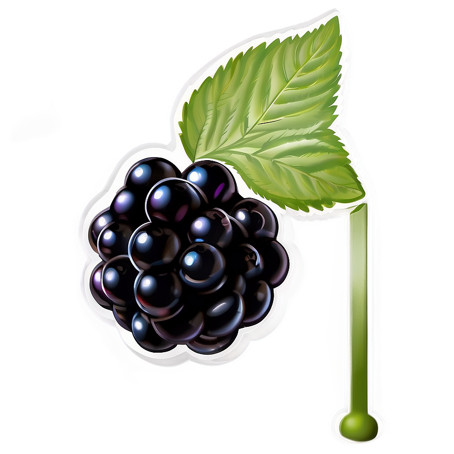 Blackberry Freshness Png Vxx PNG Image