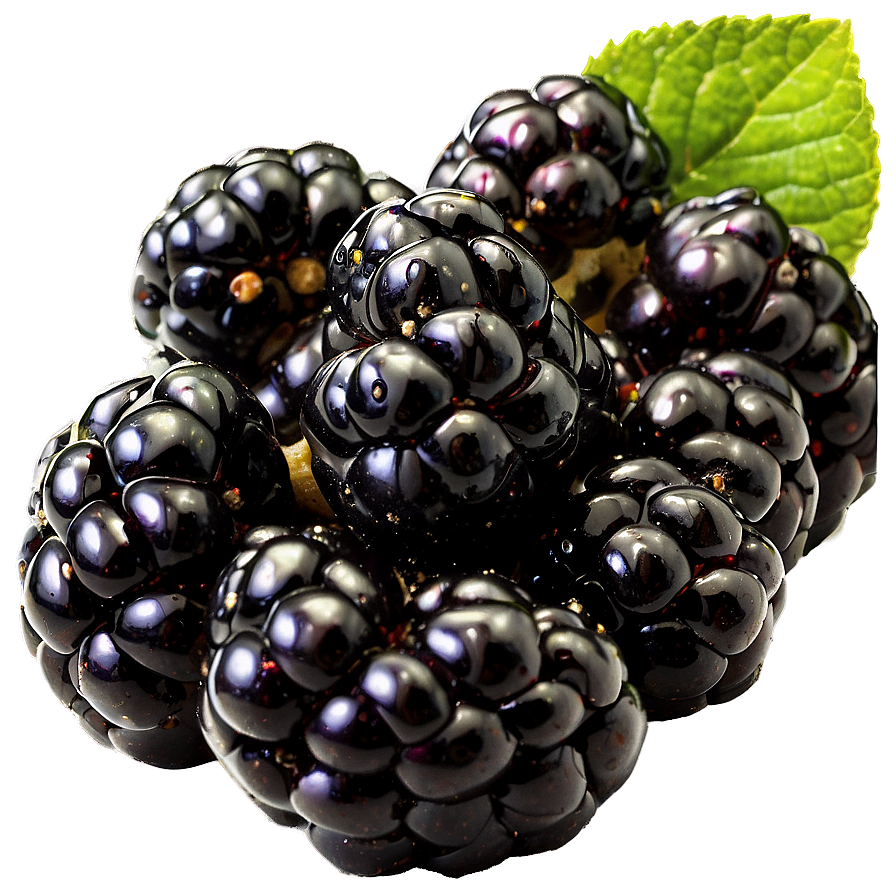 Blackberry Nutrition Png Mga8 PNG Image