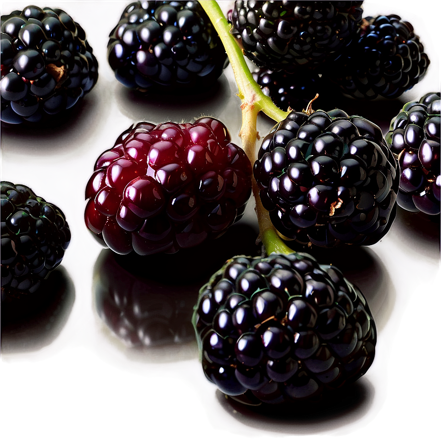 Blackberry Recipe Png 05232024 PNG Image